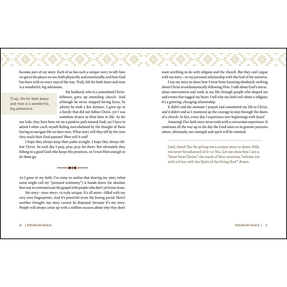 Fields Of Grace: Sharing Faith From The Horse Farm (Hardcover)