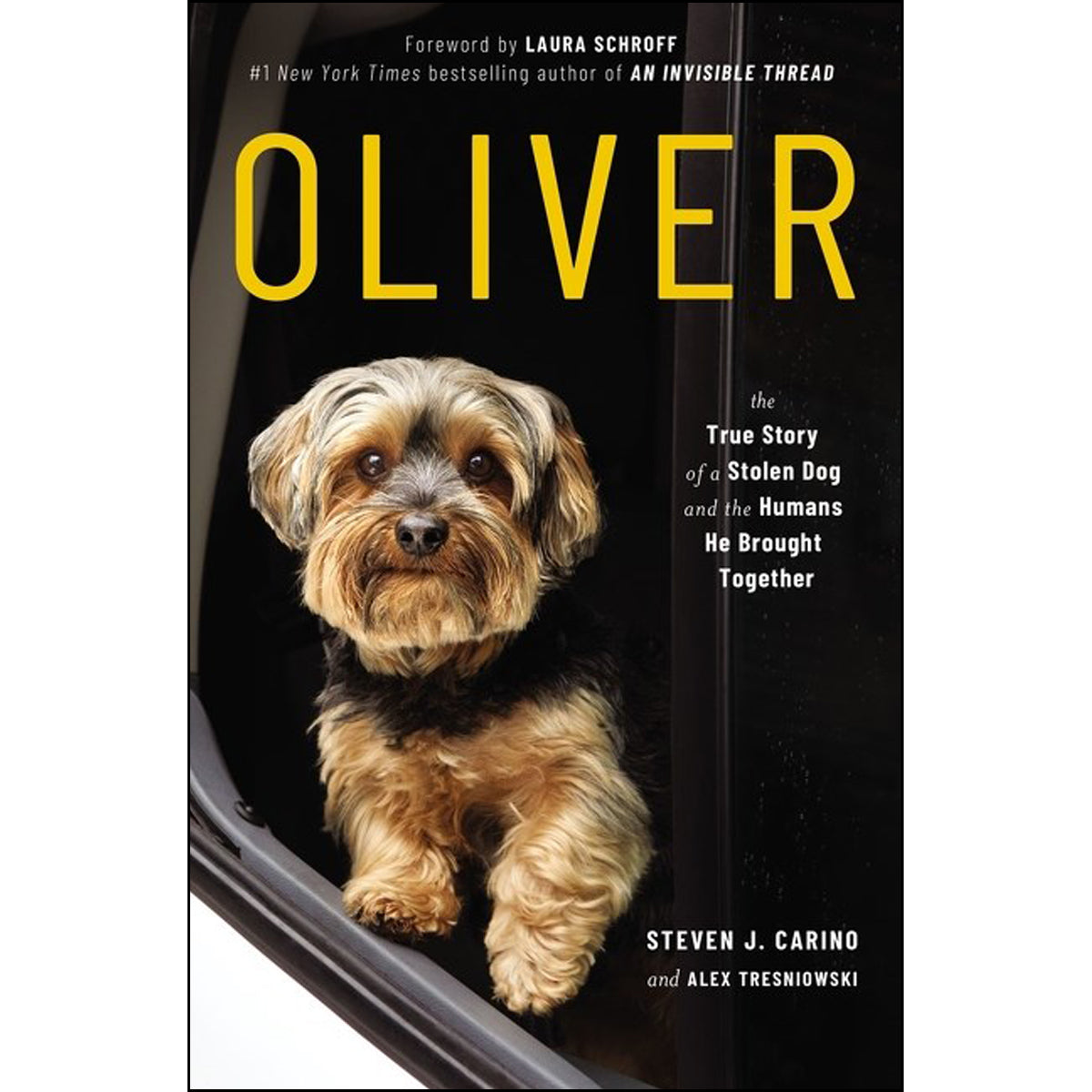 Oliver: The True Story Of A Stolen Dog And The Humans He Brought Together (Paperback)
