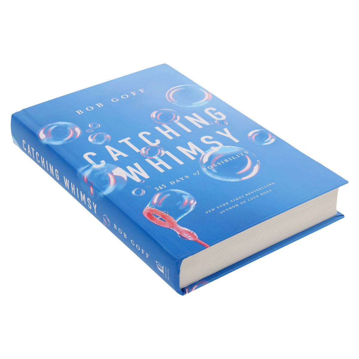 Catching Whimsy: 365 Days of Possibility (Hardcover)