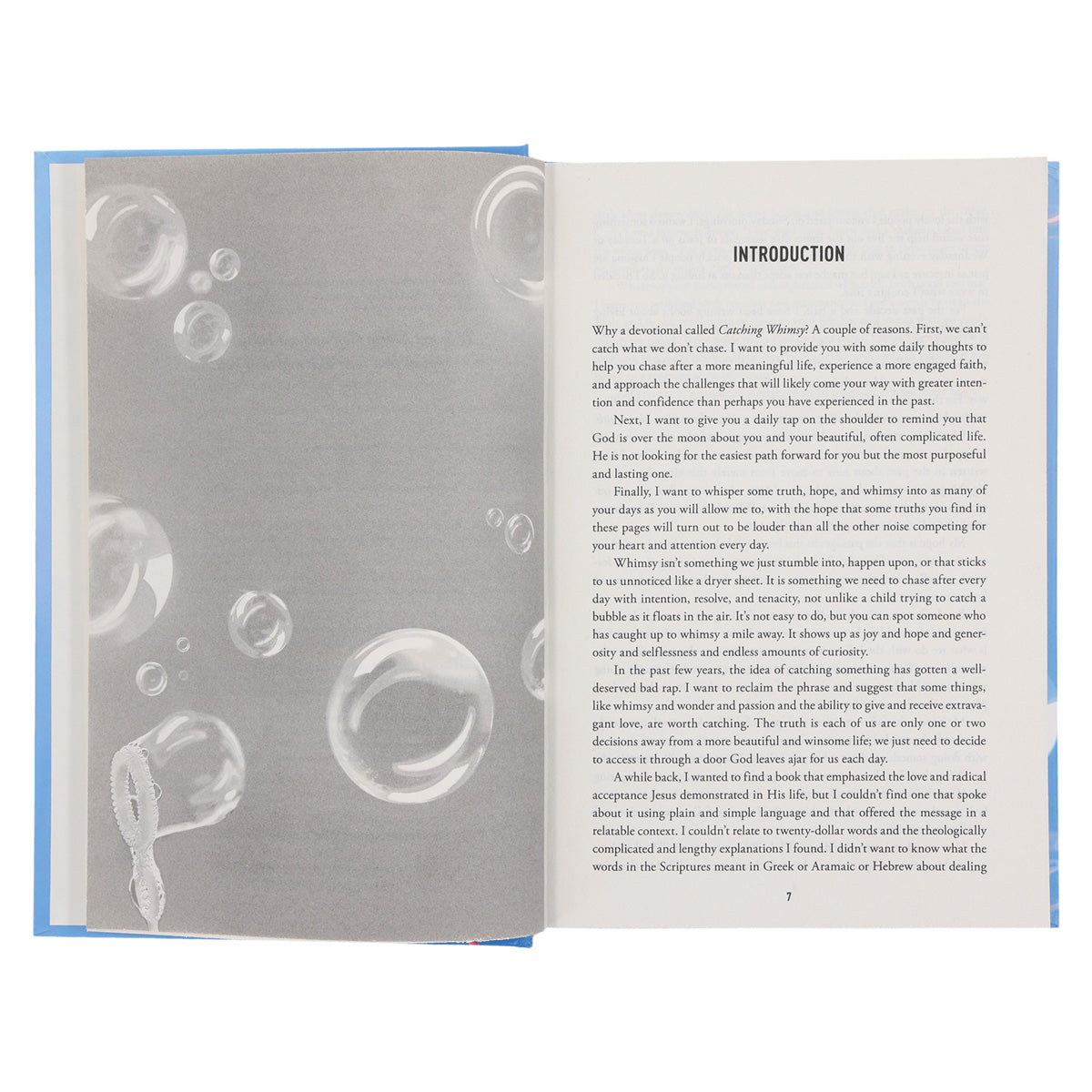 Catching Whimsy: 365 Days of Possibility (Hardcover)