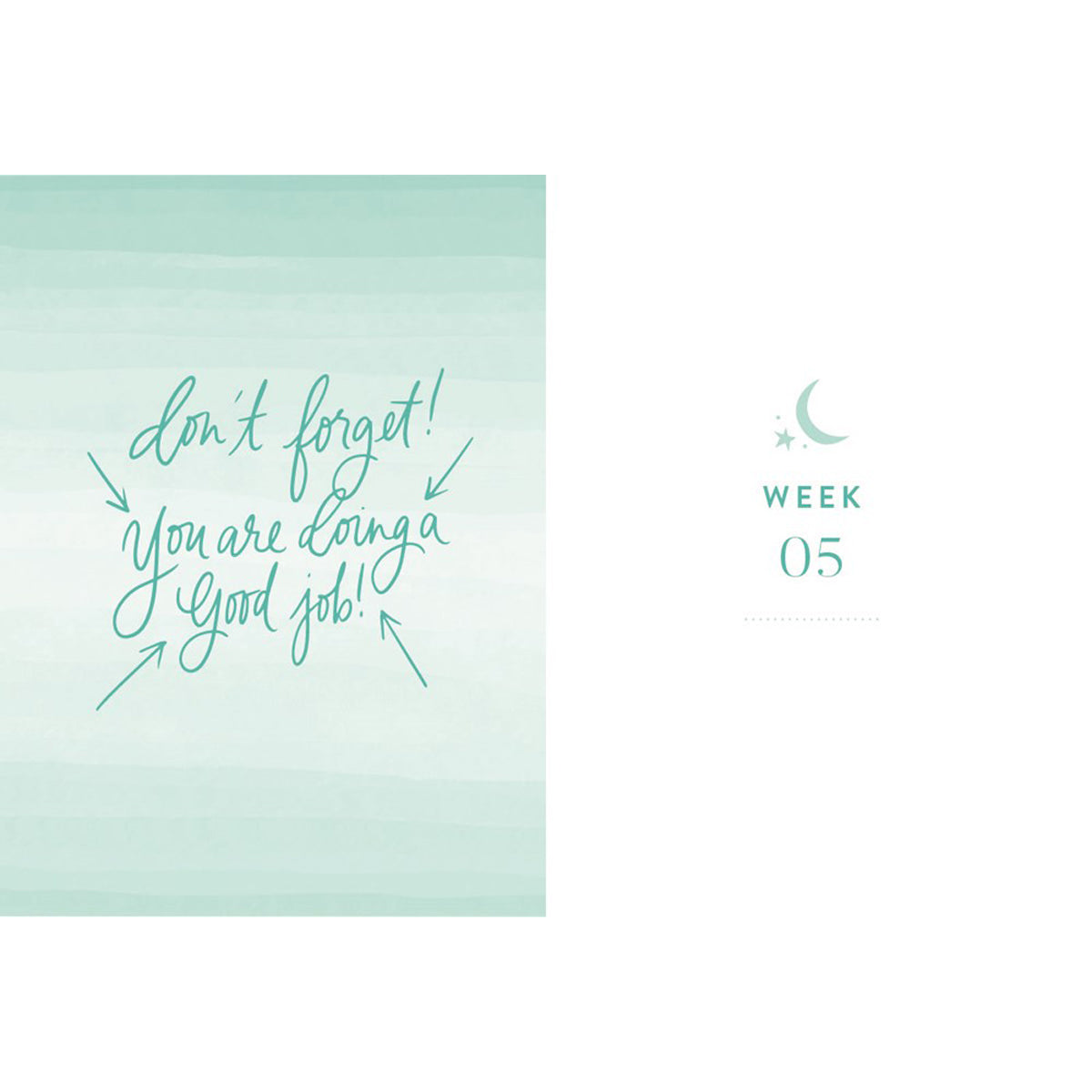 Near In The Night: 100 Evening Meditations On God's Peace And Rest (Hardcover)