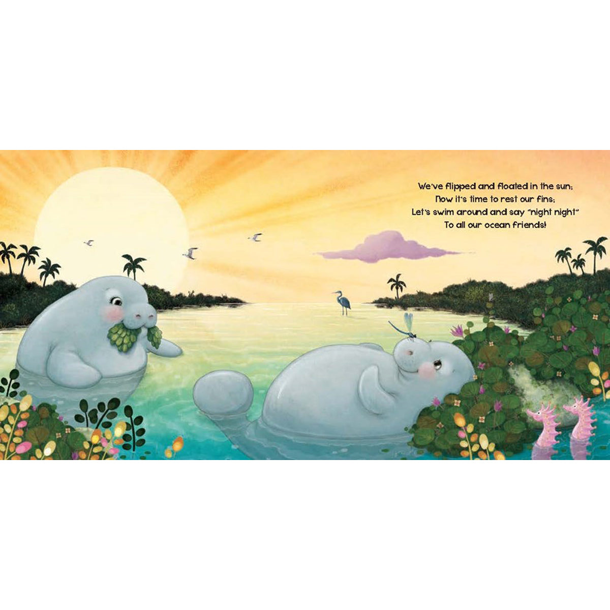 Night Night, Ocean: Night Night Series (Board Book)