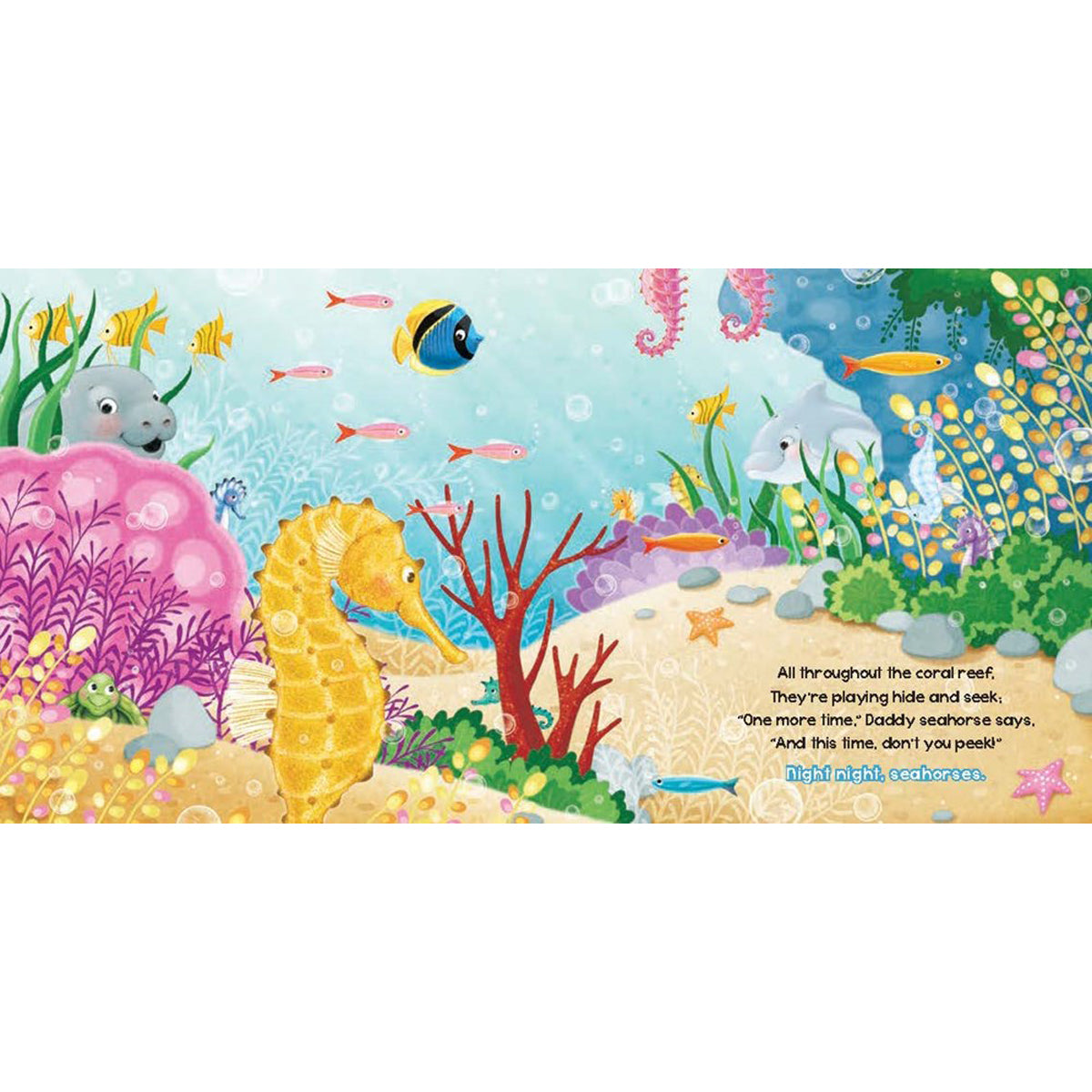 Night Night, Ocean: Night Night Series (Board Book)