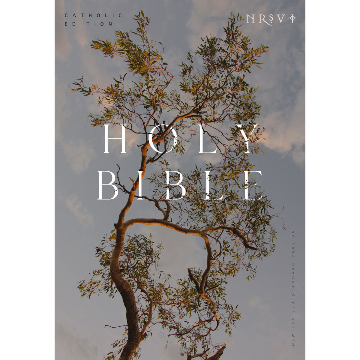 NRSV Eucalyptus Paperback Catholic Edition Holy Bible Global Cover Series