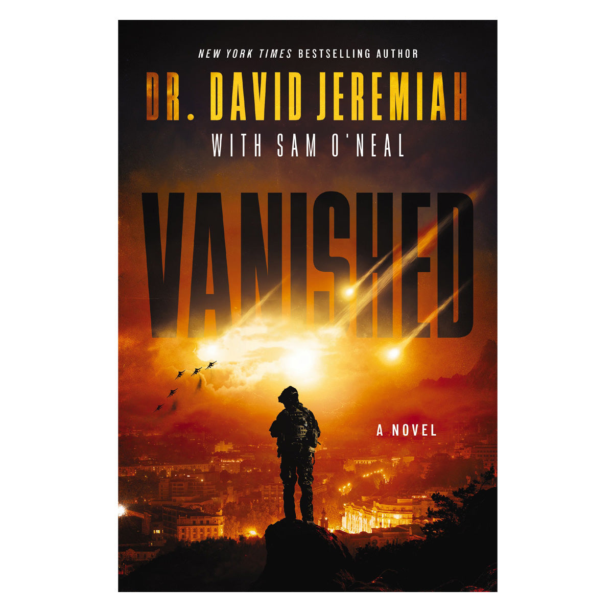 Vanished: A Novel (Paperback)