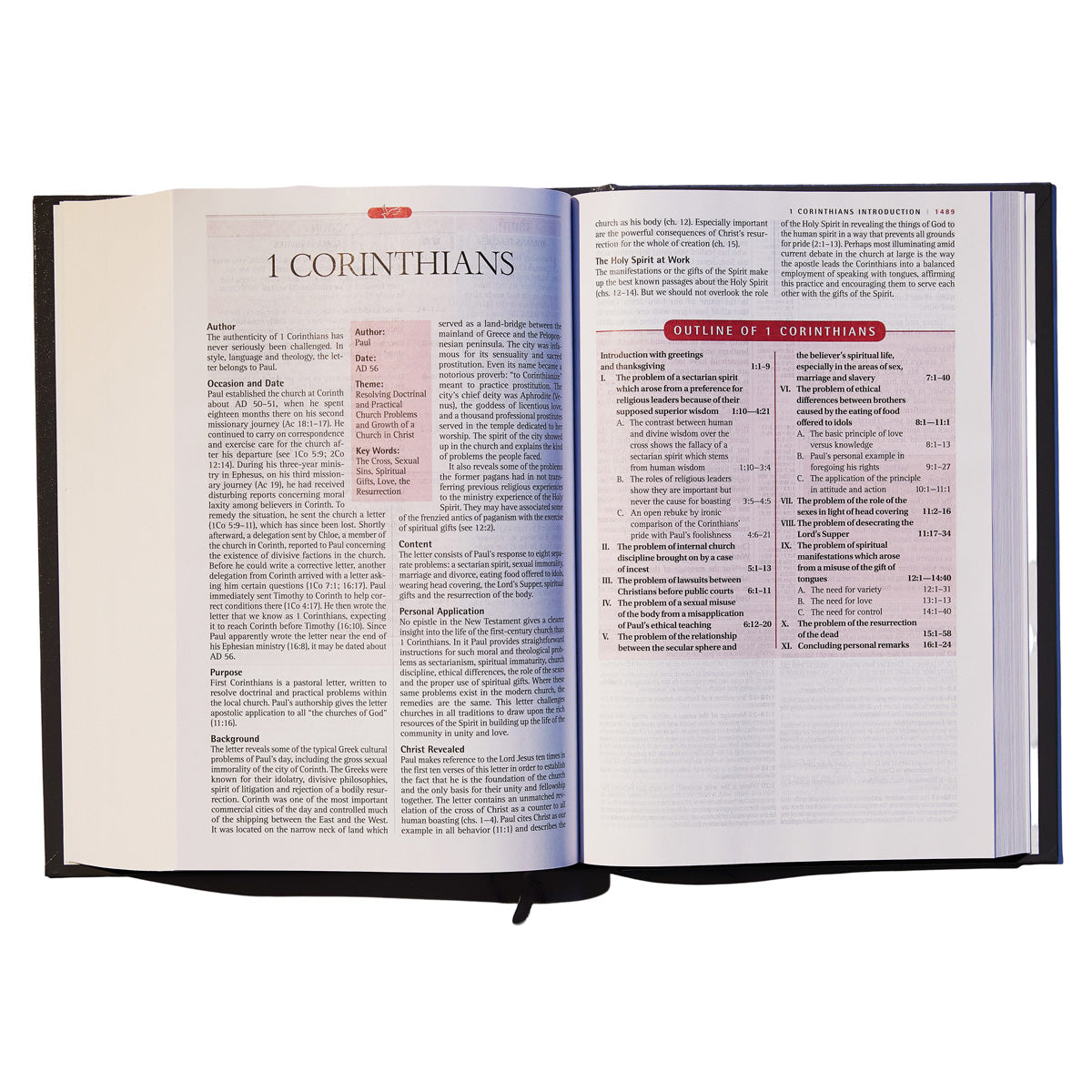 NIV New Spirit Filled Life Bible (Hardcover)