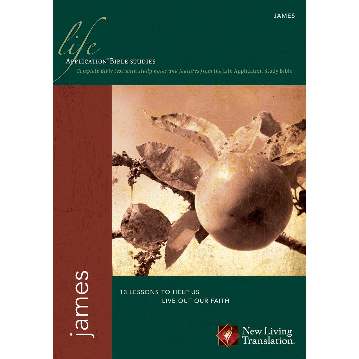 James Repackaged (NLT Life Application Study Bible)(Paperback)