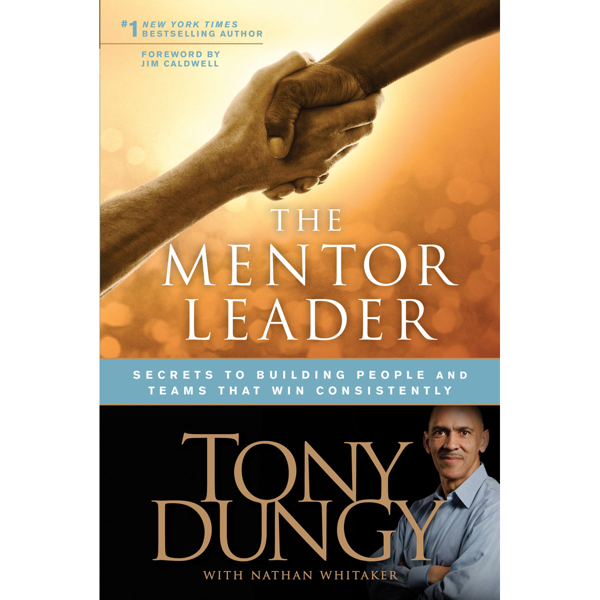 The Mentor Leader (Paperback)