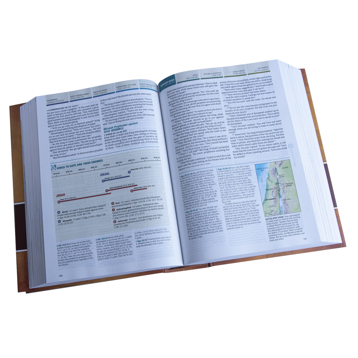 NLT Chronological Life Application Study Bible (Hardcover)