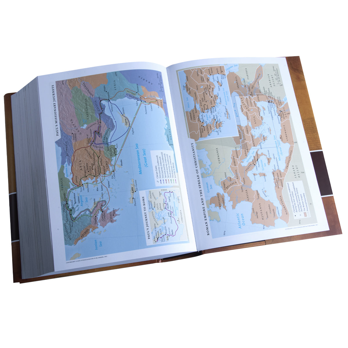 NLT Chronological Life Application Study Bible (Hardcover)