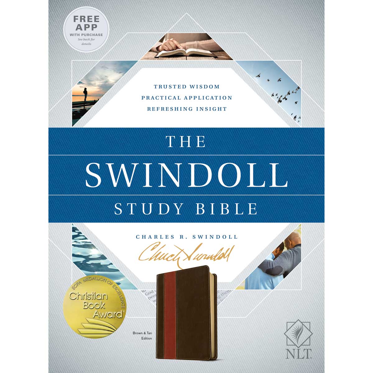 NLT Swindoll Study Bible Brown / Tan (Imitation Leather)