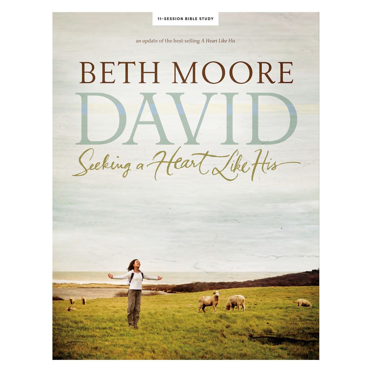David Bible Study: Seeking a Heart Like His Updated Edition (Paperback)