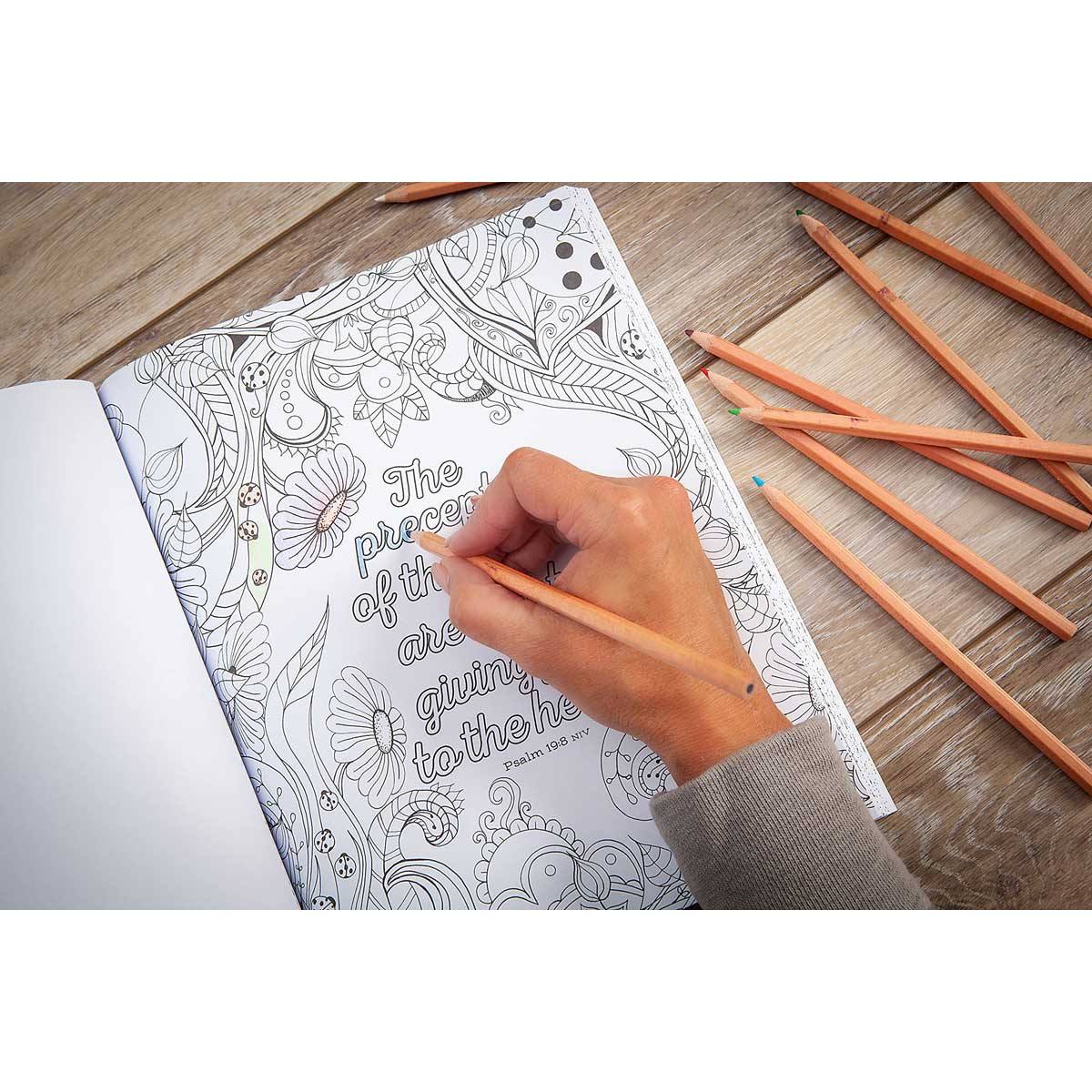 The Beloved Psalms Coloring Book (Paperback)