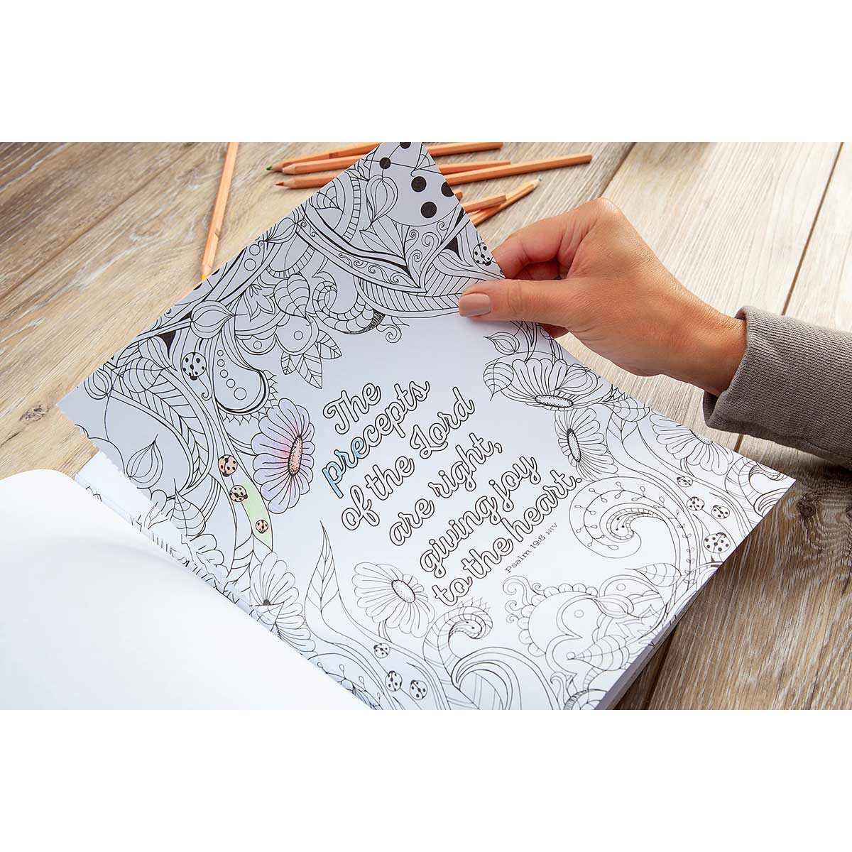 The Beloved Psalms Coloring Book (Paperback)