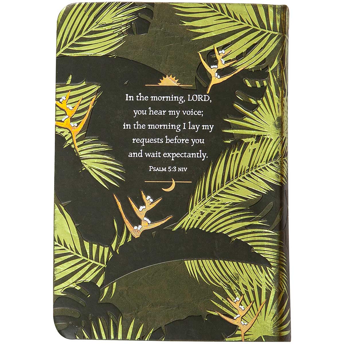 Walking With Jesus: Daily Encouragement For Life's Ups And Downs (Imitation Leather)