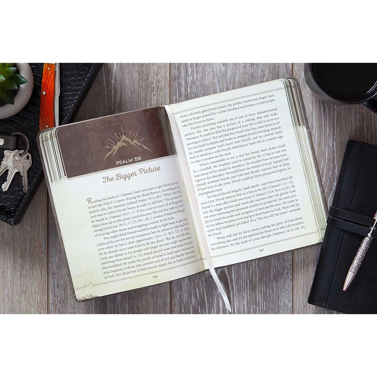 The Ascent: A Devotional Adventure Through The Book Of Psalms (Imitation Leather)