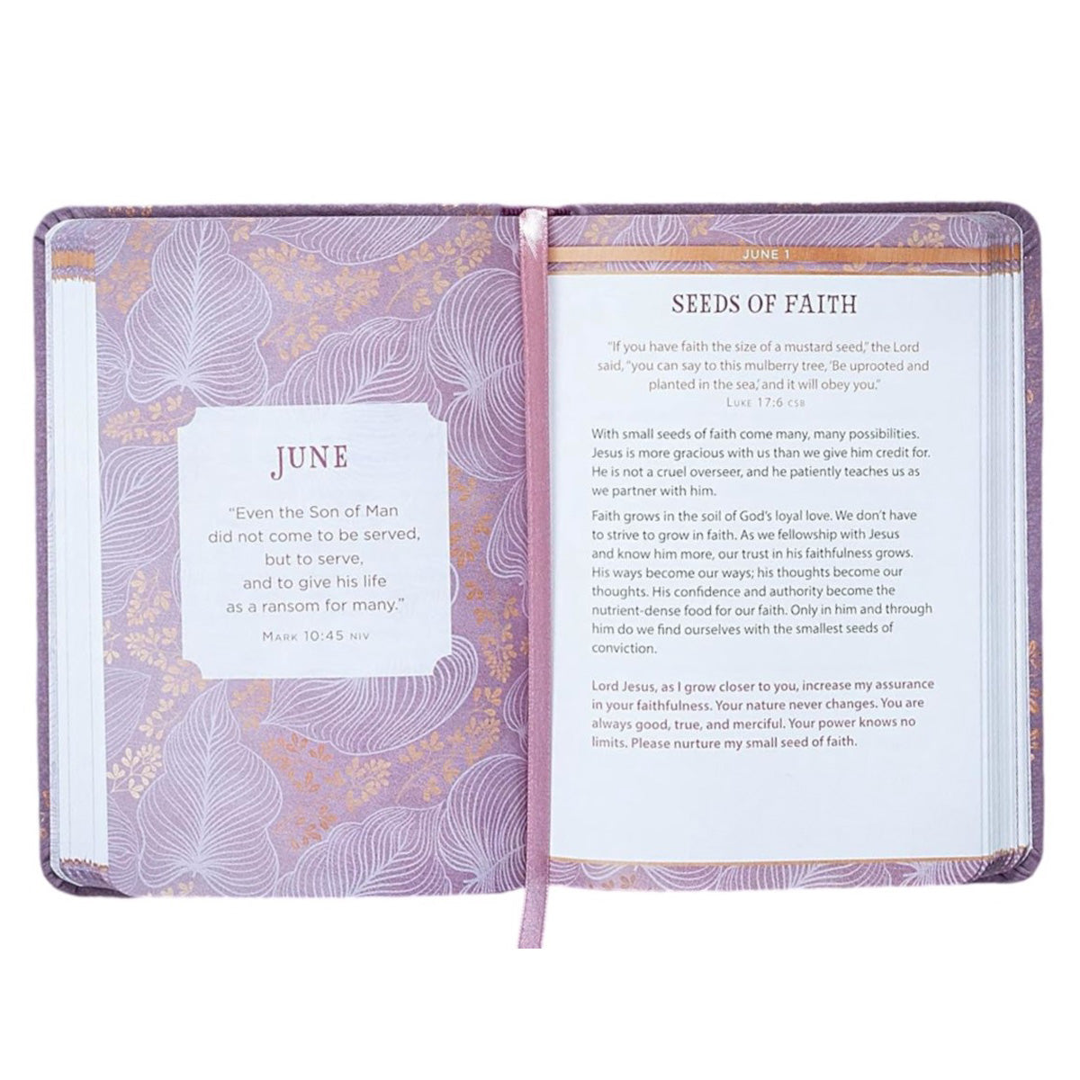 Still Small Voice: 365 Meditations On The Words Of Jesus IM