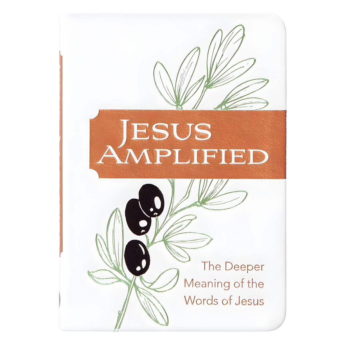 Jesus Amplified: The Deeper Meaning of the Words of Jesus IM
