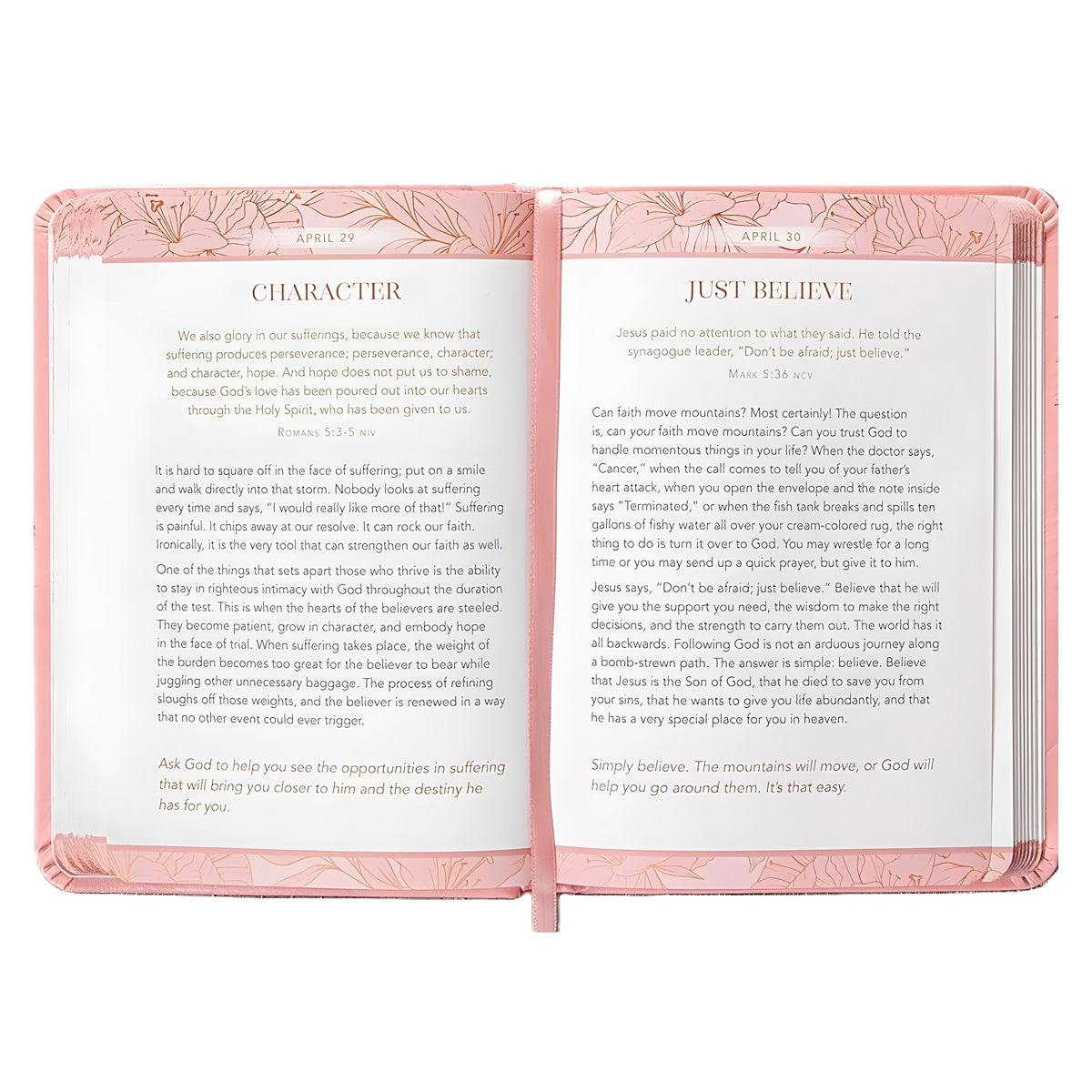 Consider the Lilies: 365 Devotions for Women (Imitation Leather)