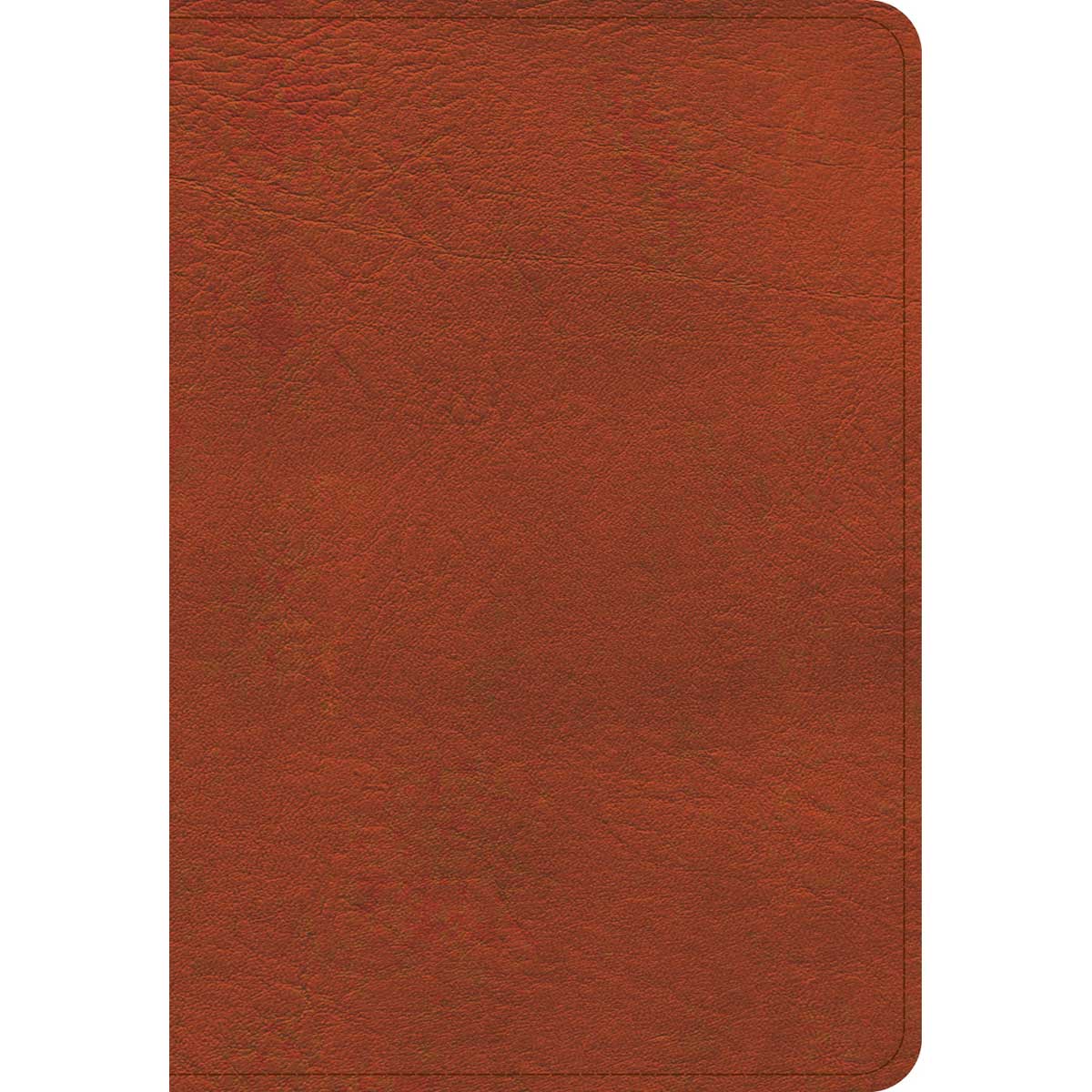 KJV Compact Reference Bible Large Print Burnt Sienna (Imitation Leather)