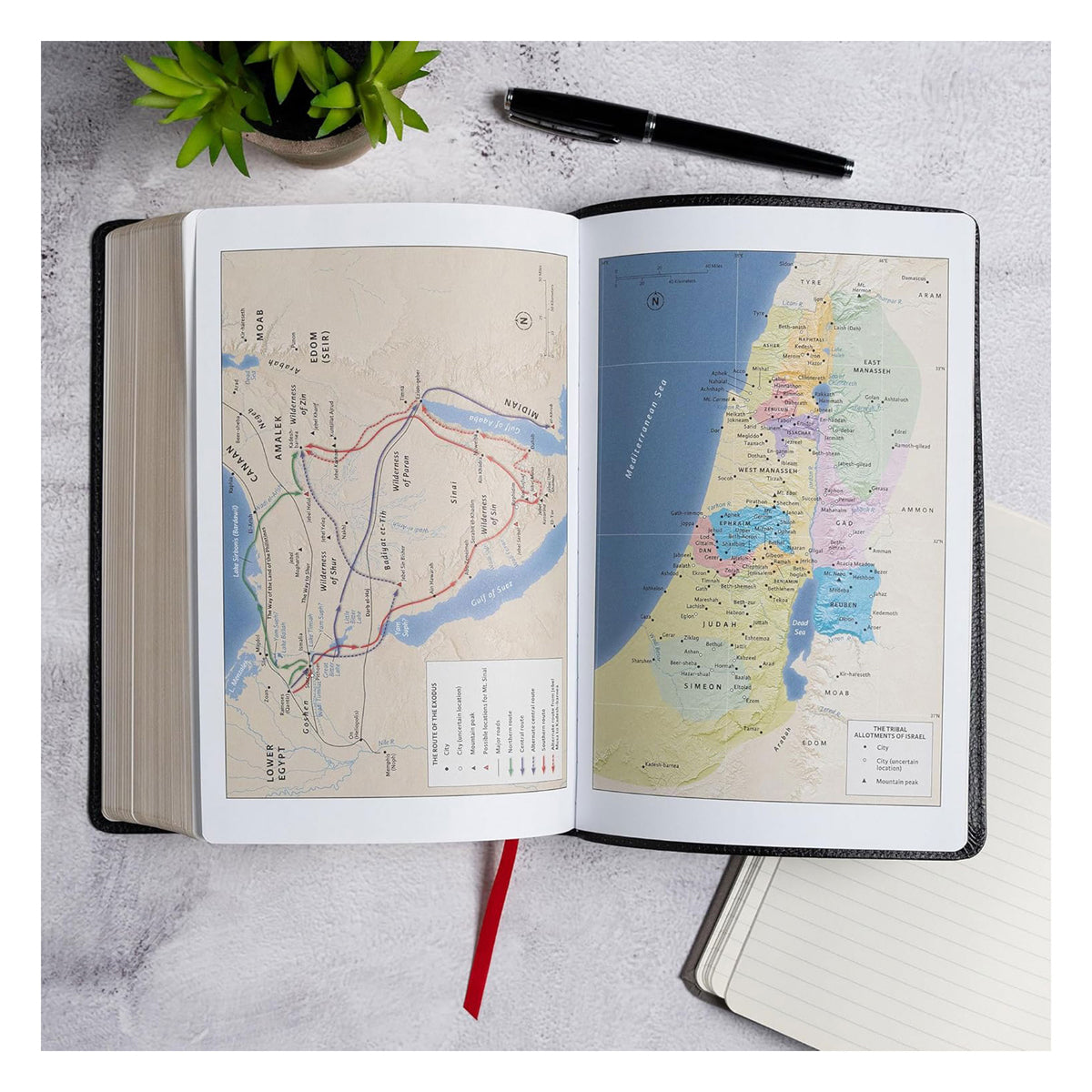 CSB Black Imitation Leather Everyday Study Bible