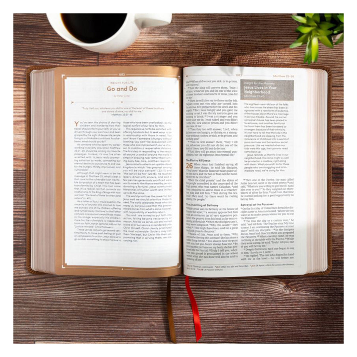 CSB Brown Genuine Leather Men's Daily Bible