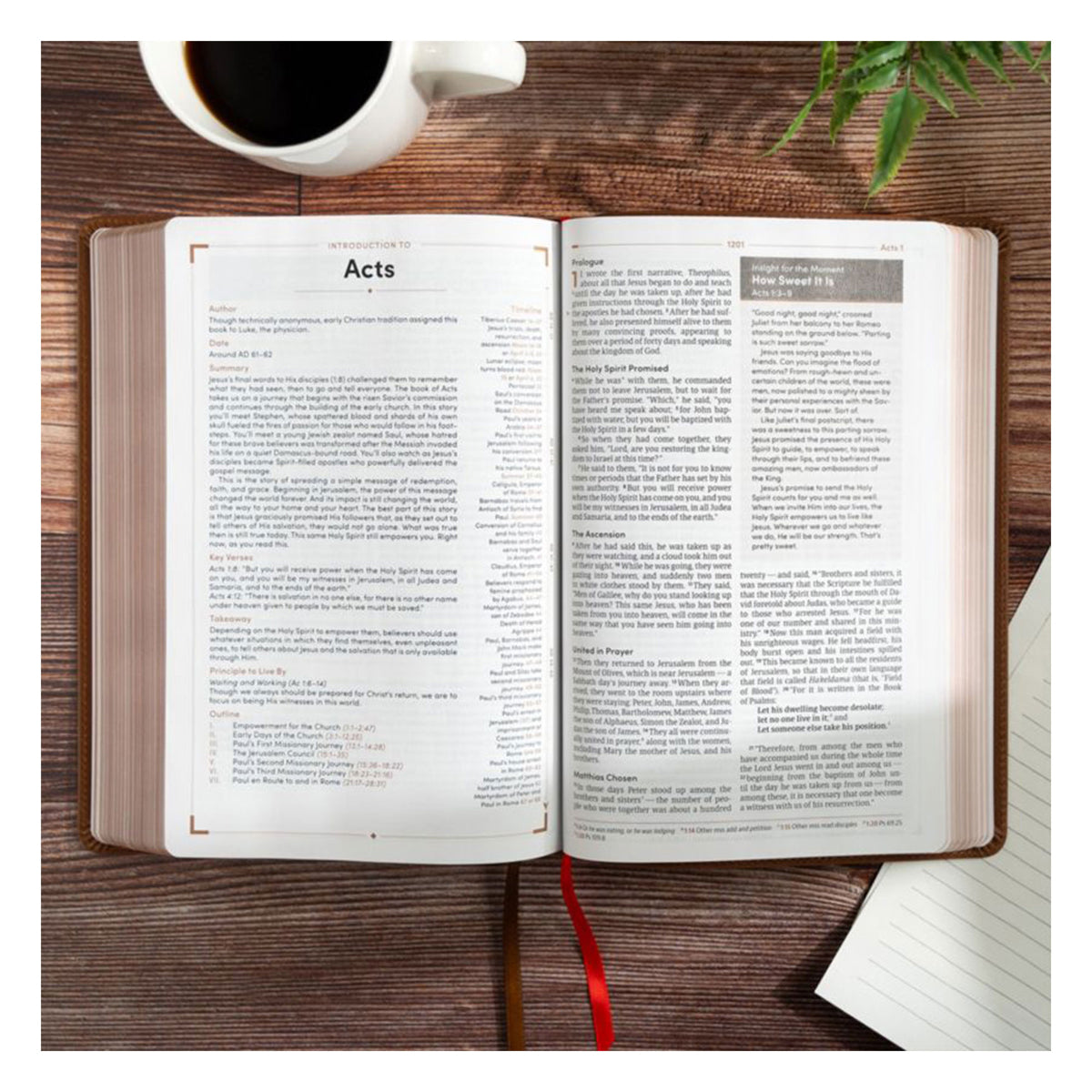CSB Brown Genuine Leather Men's Daily Bible