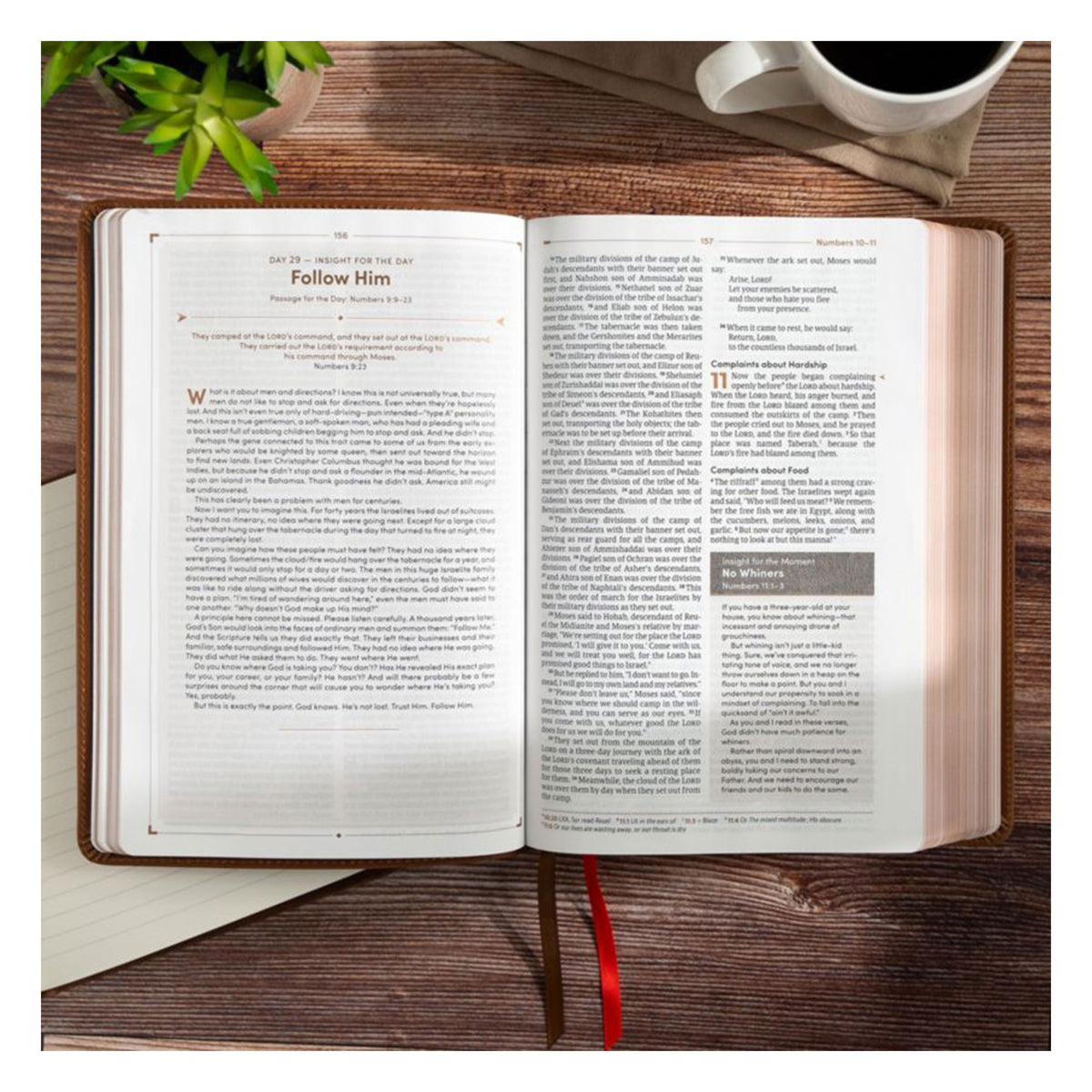 CSB Brown Genuine Leather Men's Daily Bible