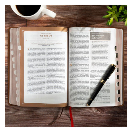 CSB Brown Genuine Leather Men's Daily Bible Indexed