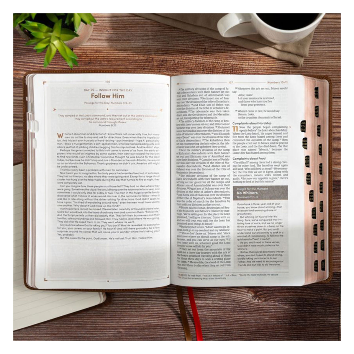 CSB Brown Genuine Leather Men's Daily Bible Indexed