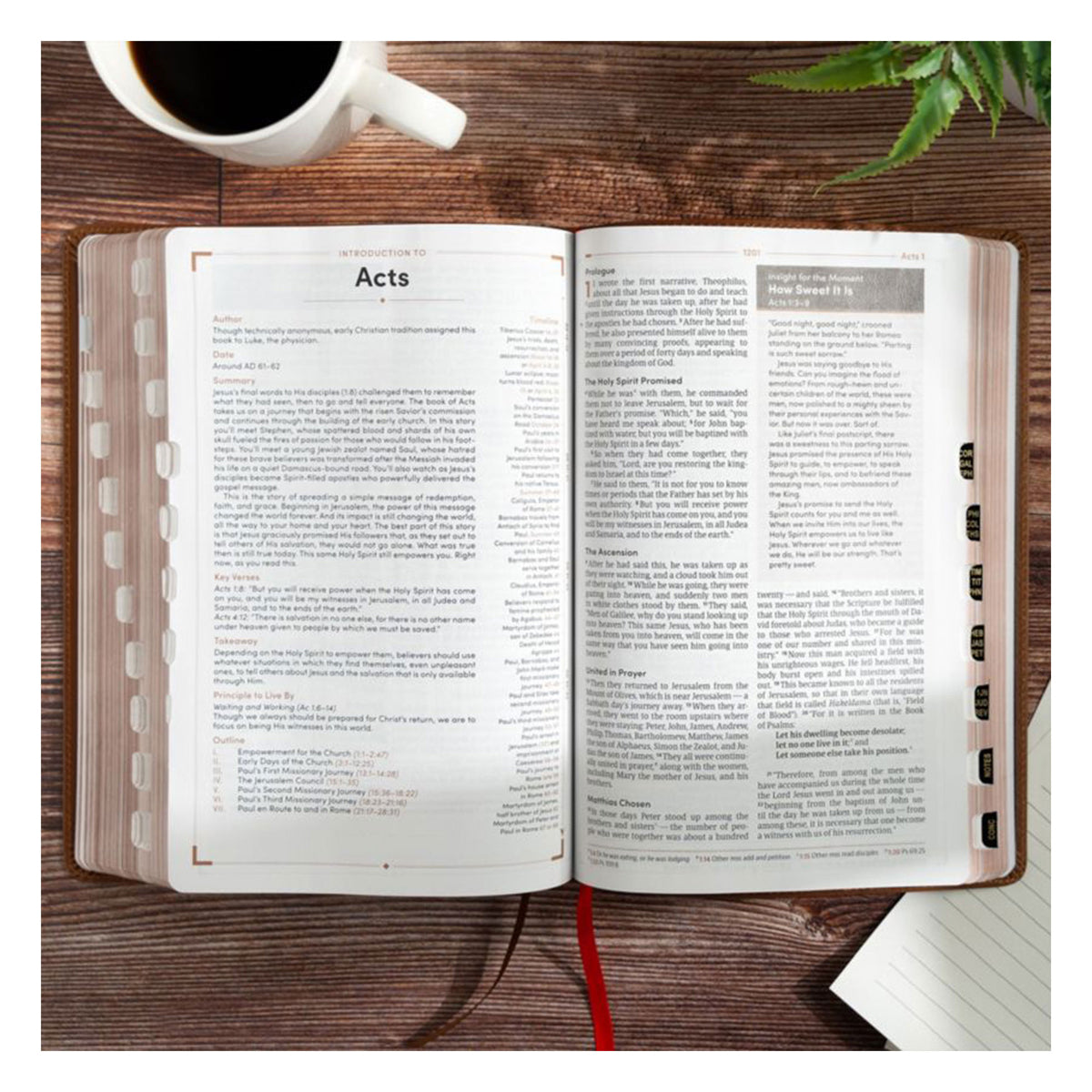 CSB Brown Genuine Leather Men's Daily Bible Indexed