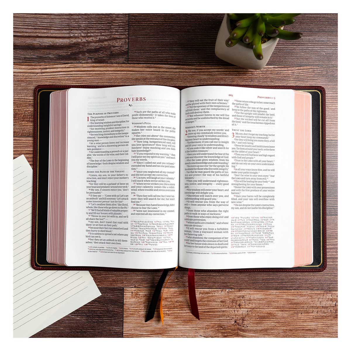 CSB Marbled Burgundy Genuine Leather Verse-by-Verse Reference Handcrafted Bible