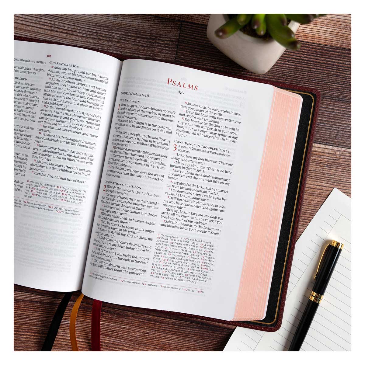 CSB Marbled Burgundy Genuine Leather Verse-by-Verse Reference Handcrafted Bible