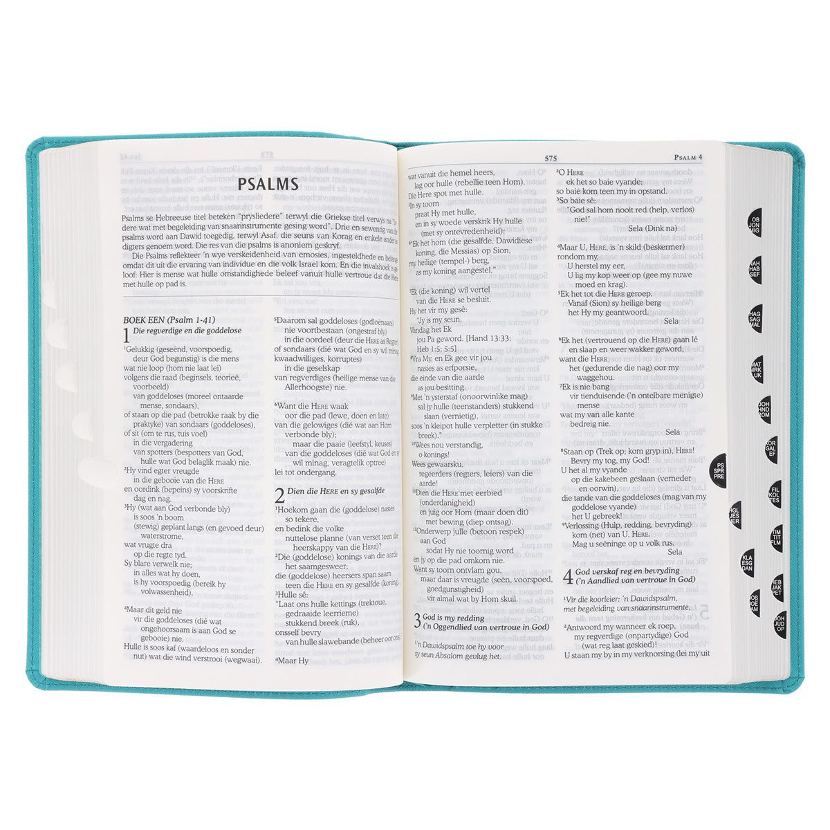 NLV Blougroen Kunsleer Toeligtingsbybel