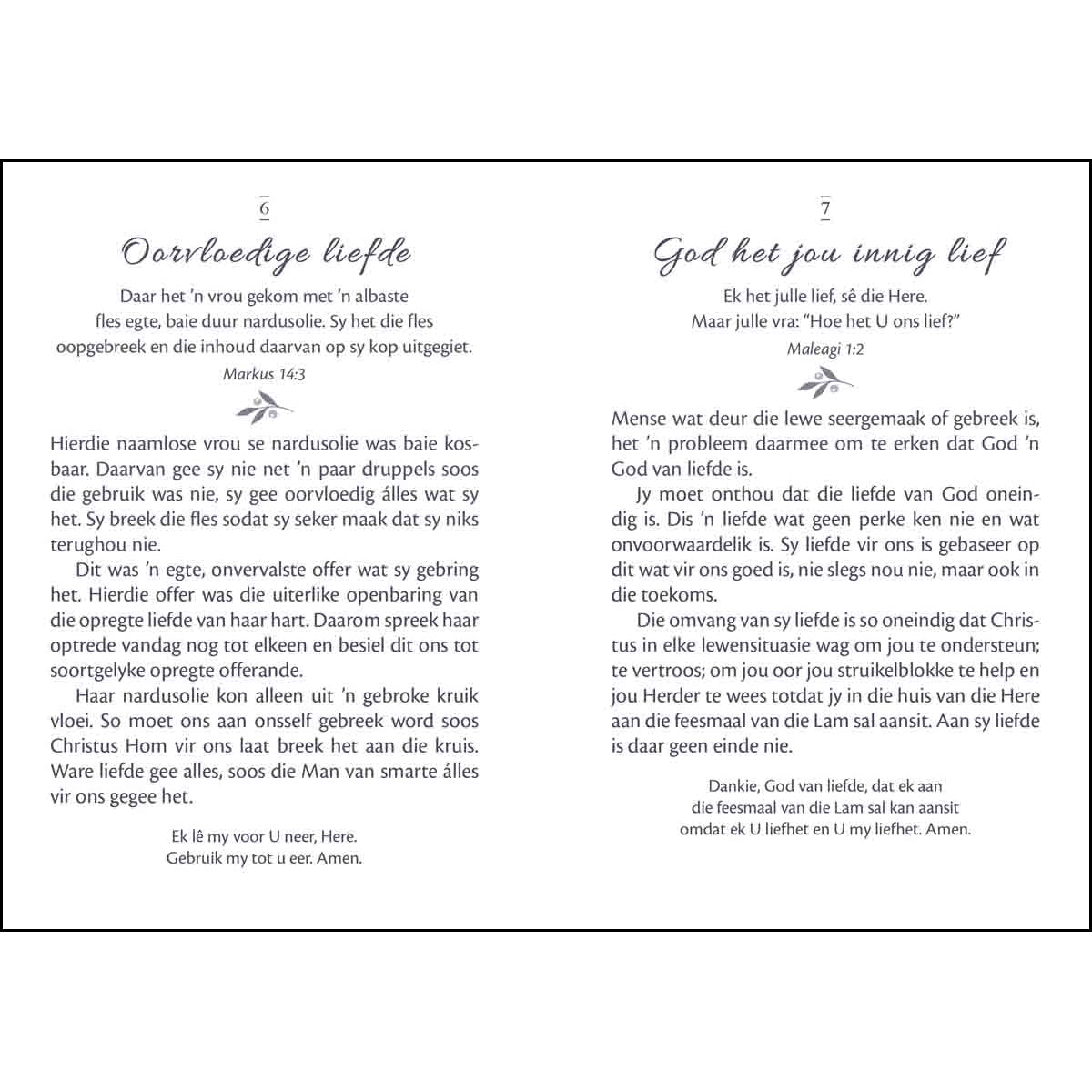 Mini Oordenkings Genade Vir Elke Oomblik (Sagteband)