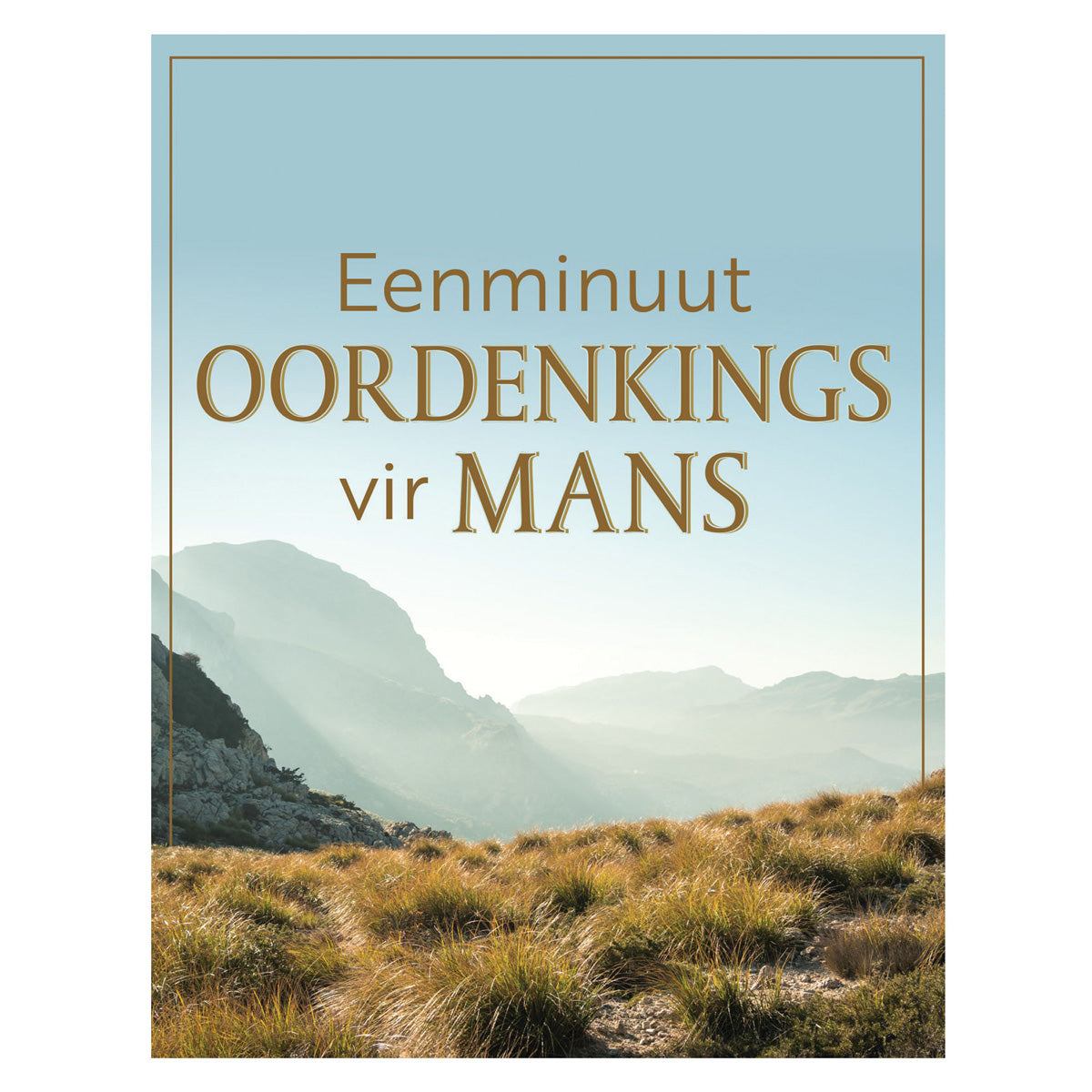 Eenminuut-Oordenkings vir Mans (Sagteband)