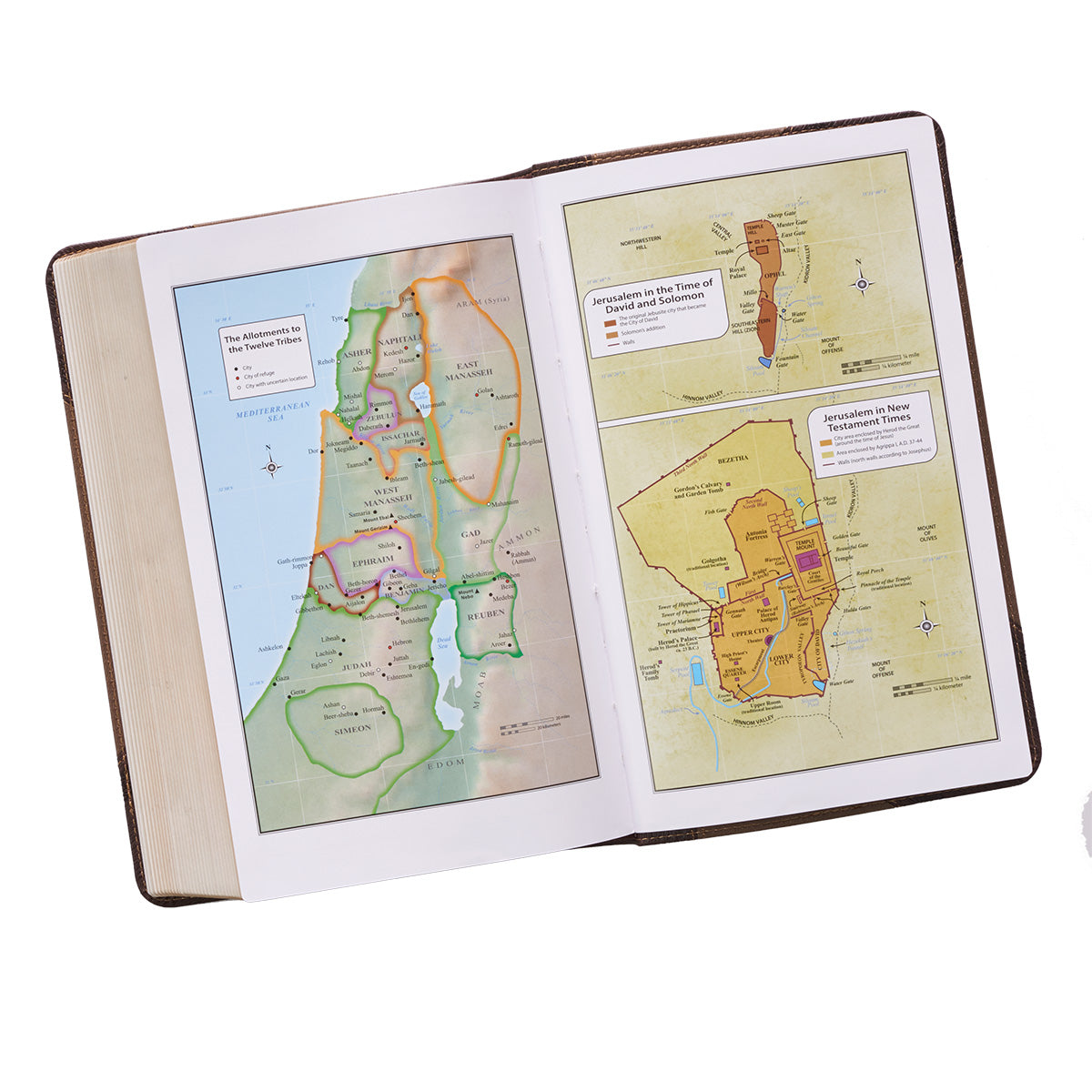 KJV Tan & Brown Faux Leather Standard Bible Giant Print Red Letter