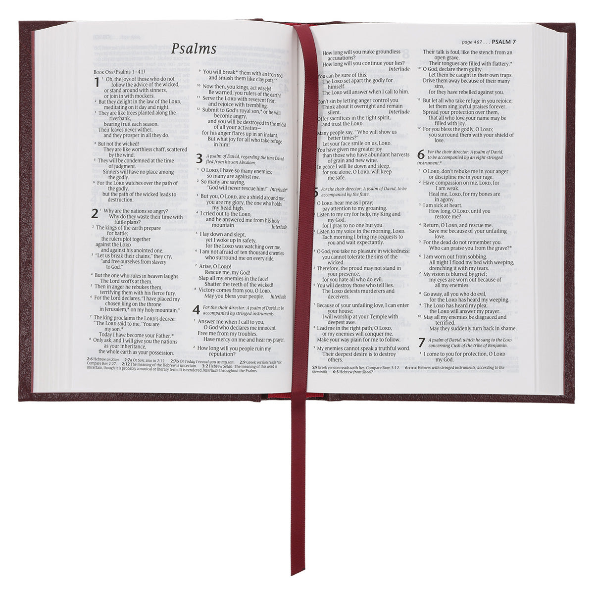 NLT Compact Bible Burgundy Hardcover