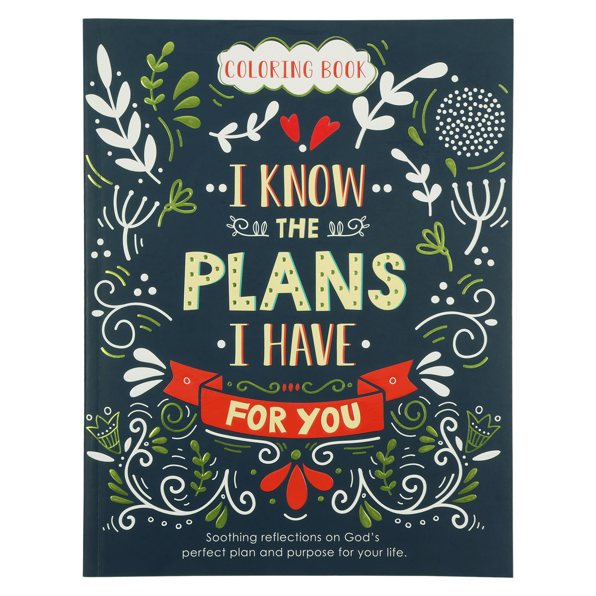 I Know The Plans Coloring Book (Paperback)