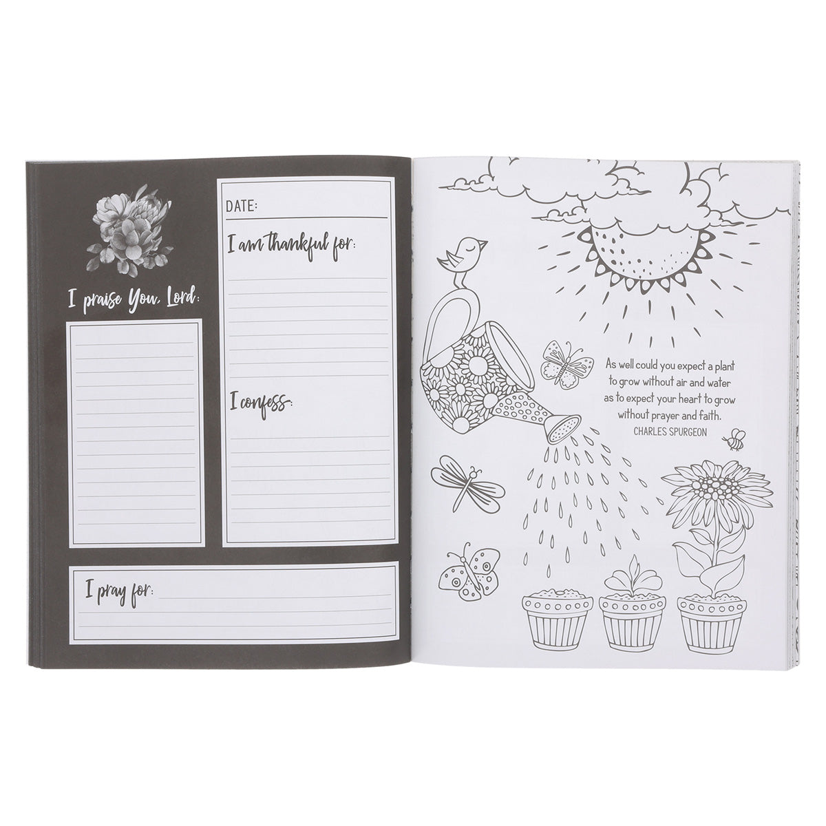 Pray More Worry Less Coloring Prayer Journal (Paperback)