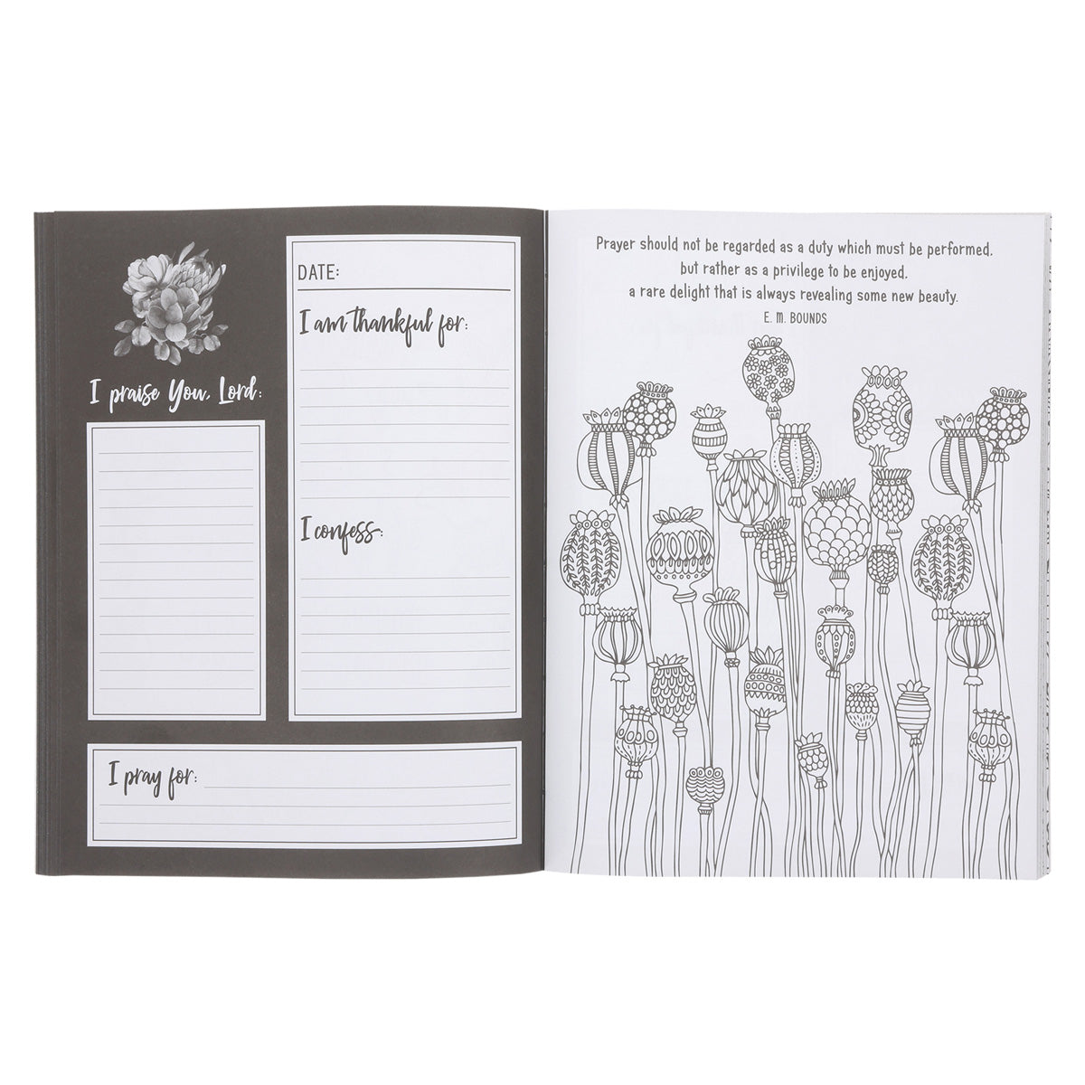 Pray More Worry Less Coloring Prayer Journal (Paperback)