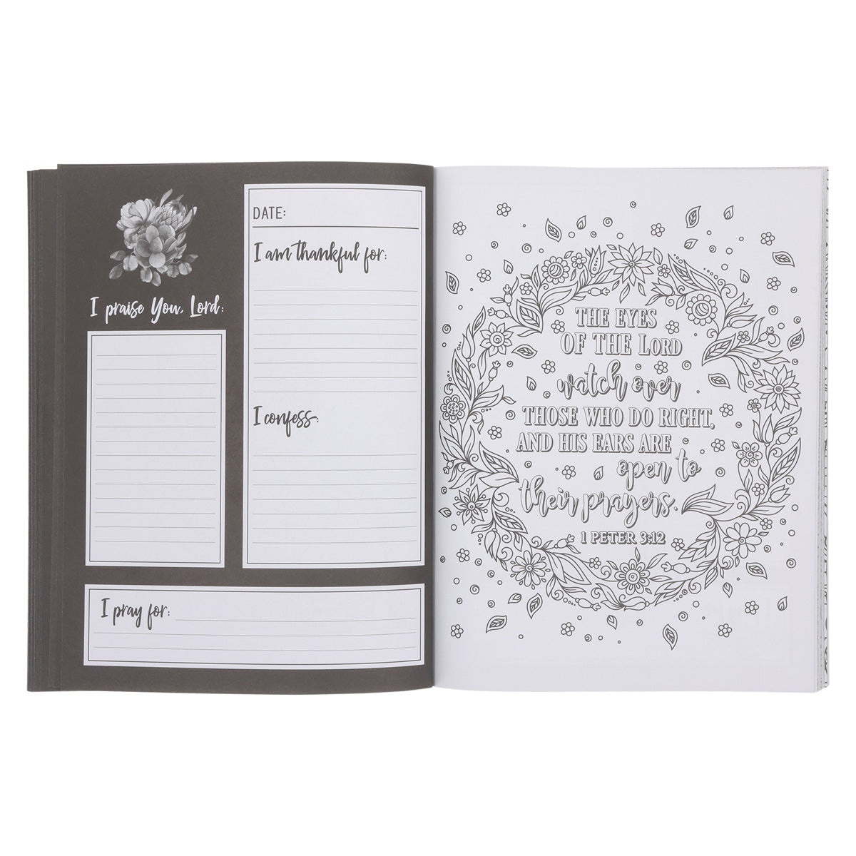 Pray More Worry Less Coloring Prayer Journal (Paperback)