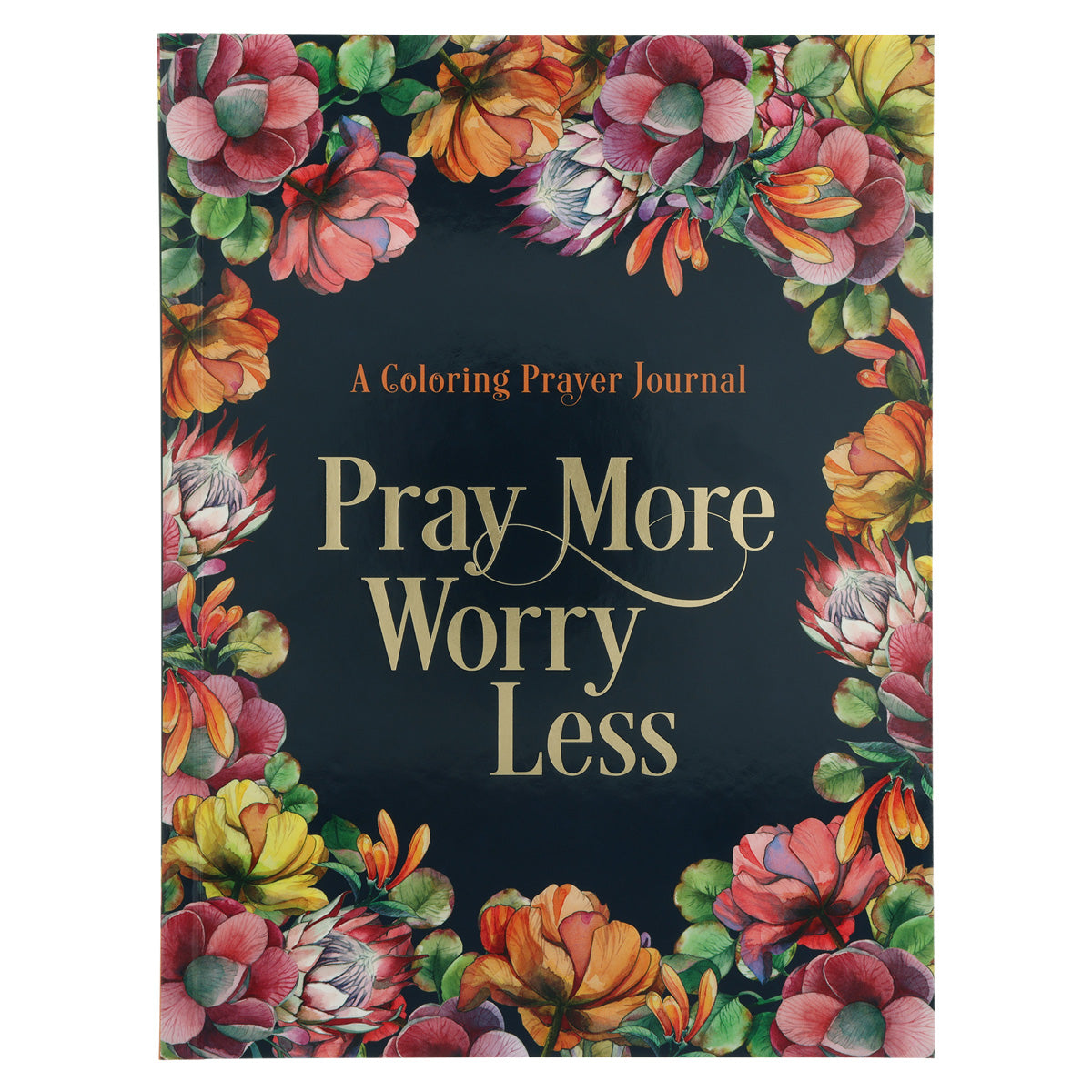 Pray More Worry Less Coloring Prayer Journal (Paperback)