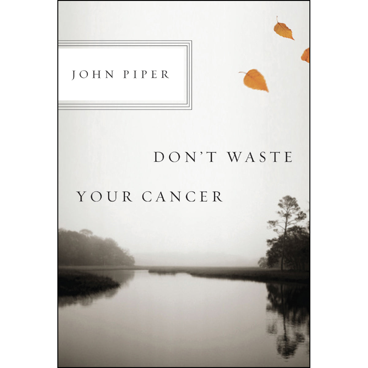 Don't Waste Your Cancer (Spiral Bound)