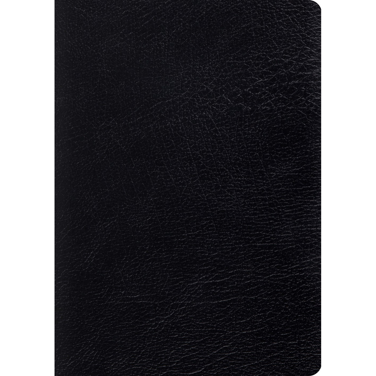 ESV Study Bible Large Print Black (Genuine Leather)