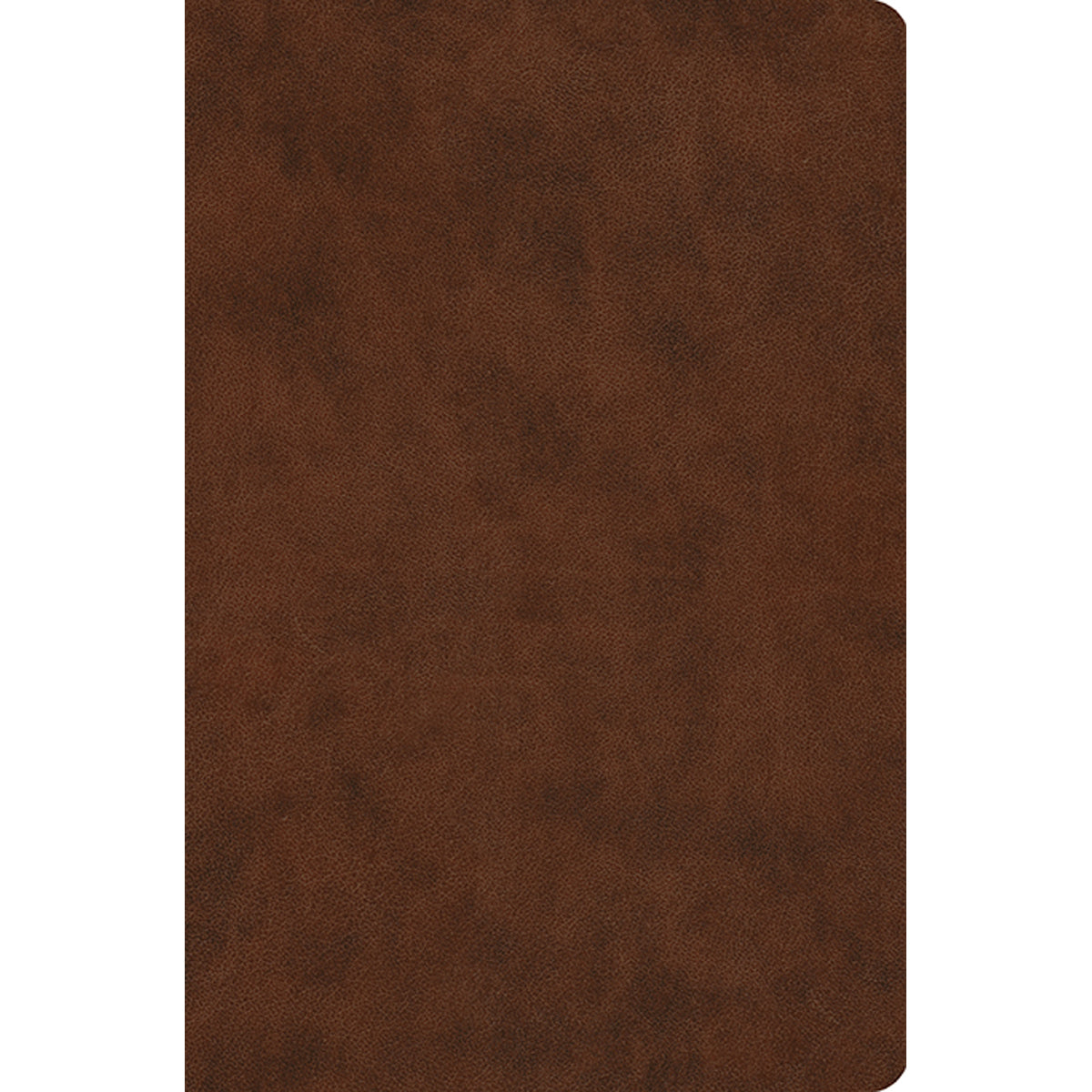 ESV Compact Value Bible Brown (Imitation Leather)