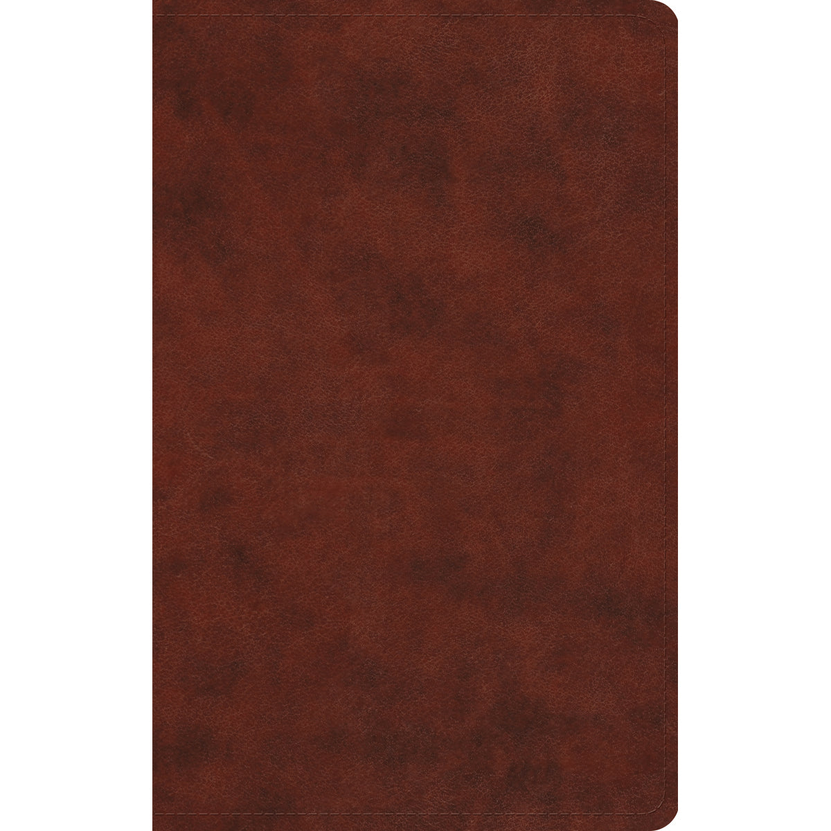 ESV Large Print Value Thinline Bible Chestnut (Imitation Leather)