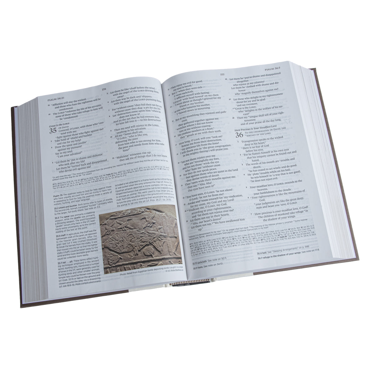 ESV Archaeology Study Bible (Hardcover)