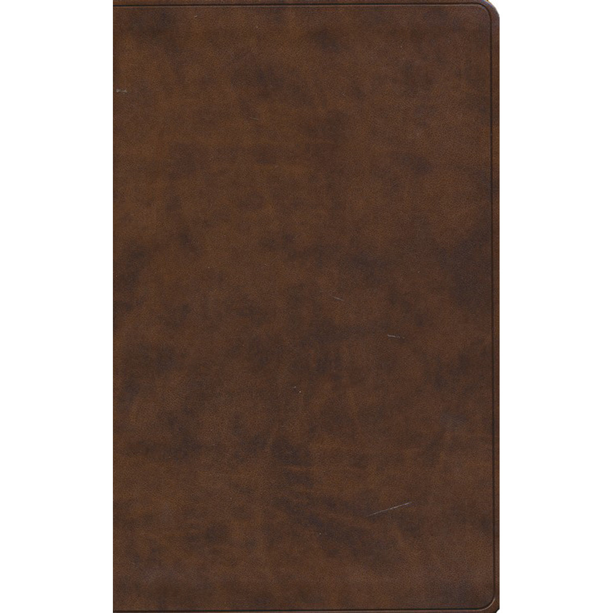 ESV Premium Gift Bible Brown (Imitation Leather)
