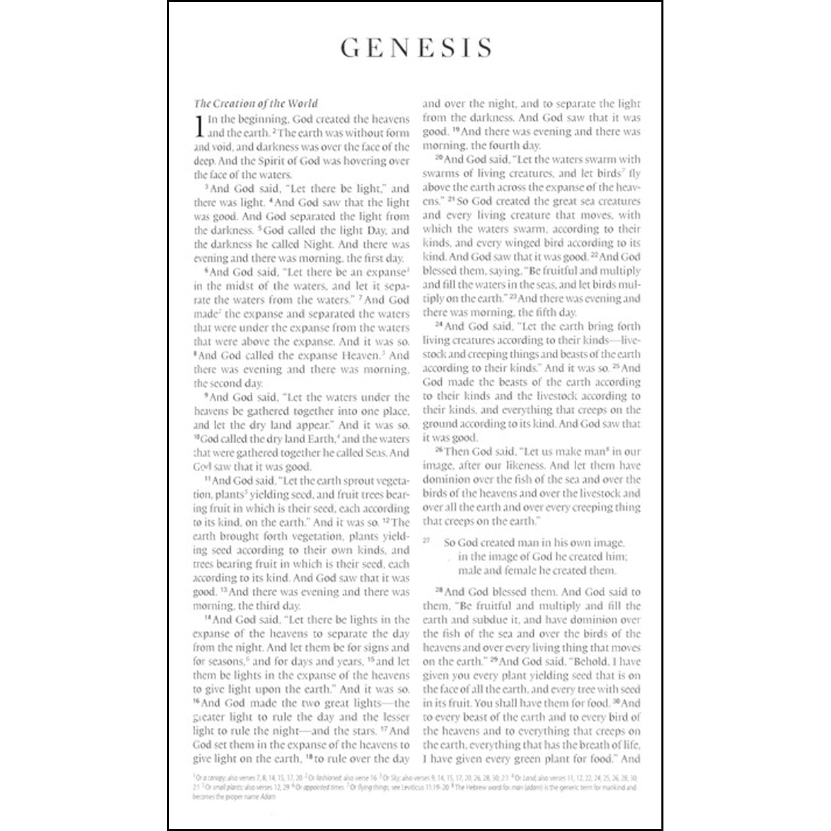 ESV Premium Gift Bible Brown (Imitation Leather)